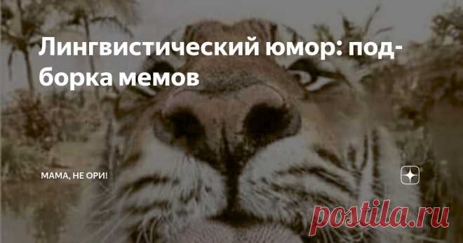 Лингвистический юмор: подборка мемов Статья автора «Мама, не ори!» в Дзене ✍: Прежде чем мы перейдем к мемам, послушайте фразы-синонимы: «Как была дурой, так и осталась» — «Время над нею не властно», «Идиот!
