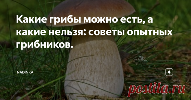 Какие грибы можно есть, а какие нельзя: советы опытных грибников. Съедобных грибов очень много. У каждого из них особенный вкус и аромат. Многие среди них считаются деликатесом, и найти их очень сложно. Опытные шеф - повара в ресторанах делят грибы на классы, согласно вкусовых особенностей и пищевой ценности.
В грибном «мясе» есть большое количество полезных витаминов и минералов, их употребляют при похудении и очищении организма. Среди этой категории особенно