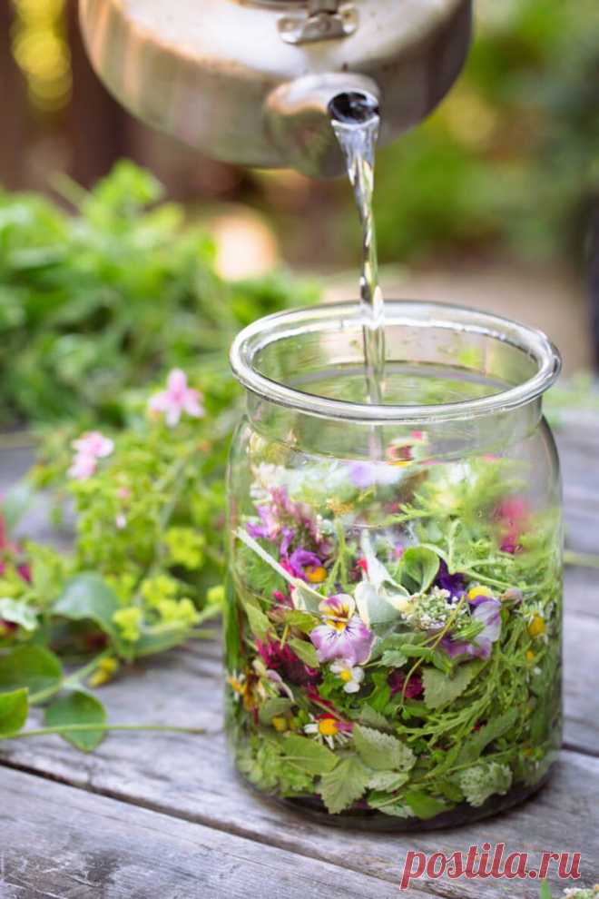 Натуральные альтернативы самым популярным лекарствам По оценкам медиков люди склонны принимать медикаменты гораздо чаще, чем это необходимо. Одни лишь жители США тратят на лекарства более 300 млрд. долларов в год, причем, по статистике, каждый житель этой страны принимает хотя бы один препарат в месяц, а 1/3 населения – два и более лекарственных средства.