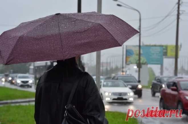 ПОГОДА НА ОСЕНЬ--«Расплата за лето». Климатолог Верховец дал прогноз погоды на осень 2025 Климатолог Сергей Верховец рассказал, почему стало невозможно давать долгосрочные прогнозы погоды.