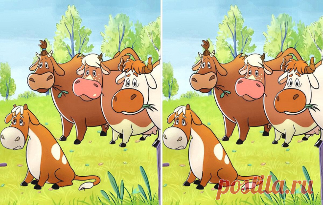 Разминка для внимательности. Найдите️♂️ 3 отличия на картинке Бурёнки на Лужайке.
Здравствуйте дорогие подписчики и гости развлекательного канала Тестик✌ Сегодня хочу предложить вам пройти новый тест на поиск отличий с
Читай дальше на сайте. Жми подробнее ➡