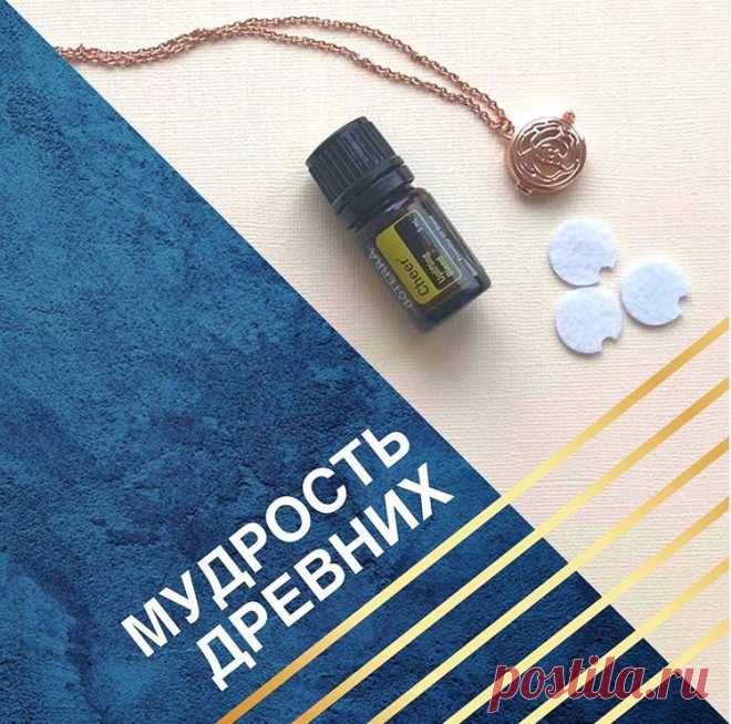 А вы знали, что Клеопатра - самый известный ароматерапевт? Именно она была мастером использования эфирных масел для ухода за собой, в медицинских целях, а еще очень умело управляла эмоциями окружающих с помощью натуральных ароматов ! Узнайте древние секреты и наслаждайтесь результатом уже сегодня !