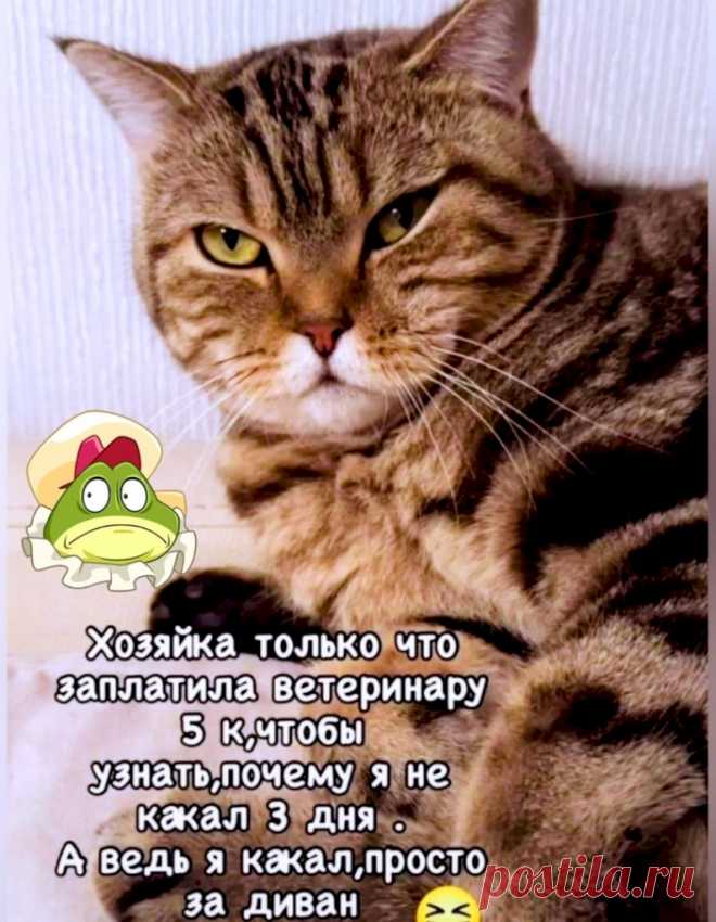 11e9500f.jpg (795×1024)