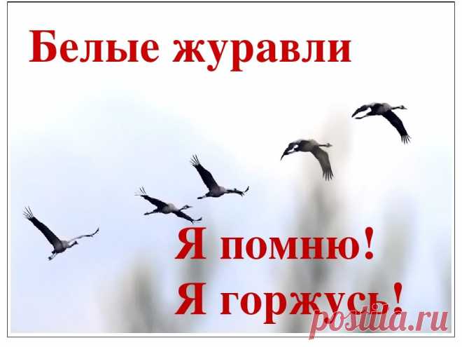 Я белого журавлика сложу
Я отпущу его — пускай летит,
Поздравит всех, кто помнит, как когда-то
Погибли, но позволили нам жить
Простые парни — русские солдаты. Открытки на День белых журавлей!