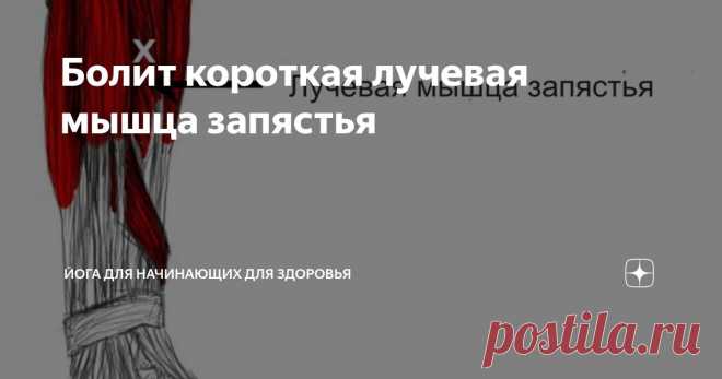 Болит короткая лучевая мышца запястья Статья автора «Йога для начинающих для здоровья» в Дзене ✍: Боль в коротком лучевом разгибателе запястья (КРЗП) – это не просто дискомфорт, а пронзительный отголосок перегрузки или внезапной травмы,