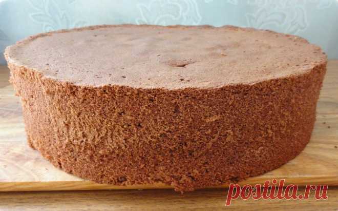 Великолепный шоколадный бисквит без муки: вкусно и полезно Удивительный, невероятно нежный и воздушный шоколадный бисквит, который готовится абсолютно без муки! Я вначале не верила, что из этих ингредиентов получится что-то стоящее.
Но когда попробовала уже г…