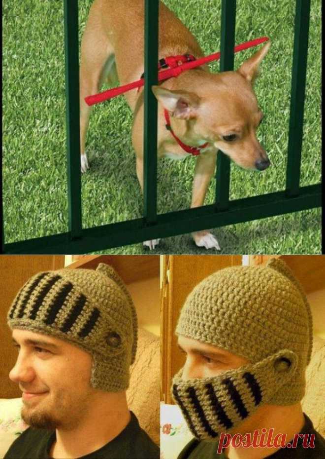 ��������� ���� (34 ����) » ��������� - ����� ����� �����������, ���������� ��������, �����, ����, ����������, ����, �������. ����������� �� ������ ����