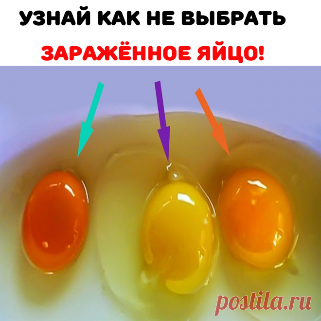 Проверь скорлупу яйца. Сырые яйца от здоровой курицы сложно разбить, скорлупа твердая, достаточно толстая.Обрати внимание на цвет желтка сырого яйца. Самое лучшее яйцо имеет желток оранжевого цвета, чем насыщеннее, тем лучше! Бледно-желтый цвет желтка — признак того, что курица, снесшая его, жила в плохих условиях и болела.Важна и толщина желтка: яйцо от здоровой курицы содержит довольно толстый желток. У плохих яиц желток всегда тоненький.