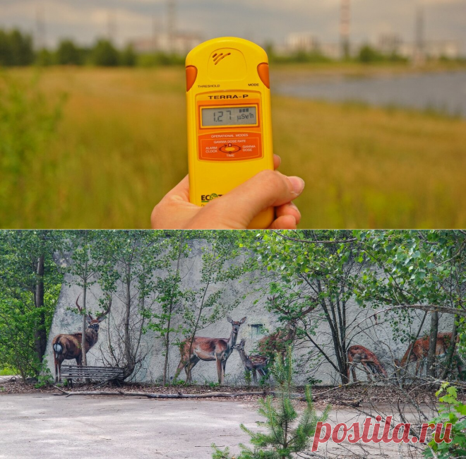 Чернобыль: не будут наказаны дети за беды отцов их
Чернобыльская зона отчуждения 35 лет назад, 26 апреля 1986 г. случился «Чернобыль» – взрыв четвертого энергоблока Чернобыльской атомной электростанции. С близлежащих территорий были эвакуированы свыше сотни тысяч человек, а спасатели соорудили над разрушенным энергоблоком защитный саркофаг. И бывшие местные жители, и ликвидаторы аварии...
Читай дальше на сайте. Жми подробнее ➡