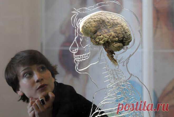 10 самых разрушительных привычек нашего мозга Любую привычку можно условно разделить на три составляющие.Первая составляющая – сигнал, то, что заставляет нас следовать какой-то привычке. Рассмотрим на примере. Вы берете ключи от машины. Это триггер, который заставляет вас заводить двигатель машины.Вторая составляющая – это выполнение привычных действий. Когда вы ведете машину, вы выжимаете газ, смотрите вперед на дорогу и в зеркало заднего вида, нажимаете на сцепление, сле...