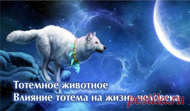 Какое ваше тотемное животное по знаку Зодиака Каждый знак зодиака обладает своими особенными характеристиками и энергией, а еще у них есть свои собственные символы, среди которых и тотемные животные