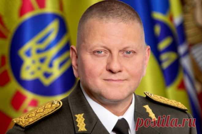 В Раде призвали Залужного уйти в отставку из-за отсутствия идей на 2024 год. Депутат Верховной рады Марьяна Безуглая считает, что руководство ВСУ должно оставить свои посты.