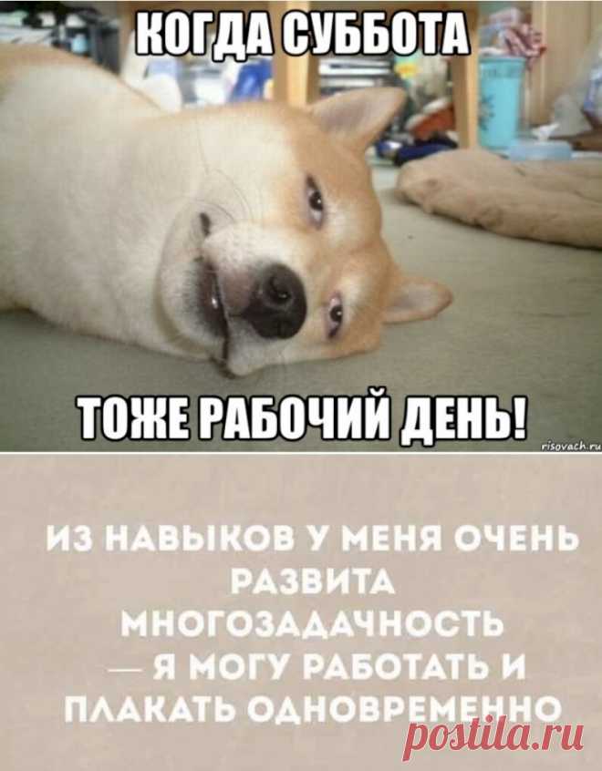 Выпуск №6590 - выпуск анекдотов сайта вокруг смеха