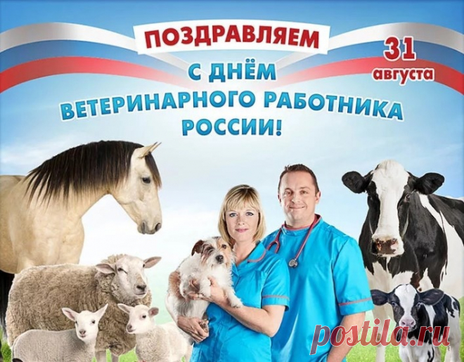 Нет искусней докторов, чем ветеринары,
Им животных исцелять помогают чары.
Эти чары — доброта, знания и опыт!
К братьям меньшим их любовь айсберги растопит.