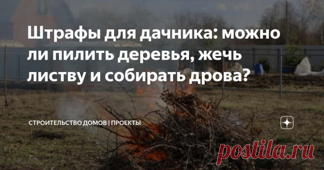 Штрафы для дачника: можно ли пилить деревья, жечь листву и собирать дрова? Статья автора «Строительство домов | проекты» в Дзене ✍: На каком расстоянии от дома можно жарить шашлыки, законно ли жечь листву, собирать валежник, грибы и ягоды в лесу или спиливать аварийное...