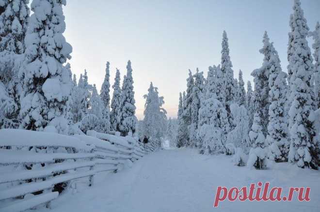 Tour of the New Year's holiday "Winter Dreams Seliger"
Two festive arrival Seliger is beautiful in any season.
We offer you to discover Seliger in the winter decoration, luxury and grandeur of snow silence.CONTACT US ON THE SITE: www.polclub.ru
CALL WAITING !!