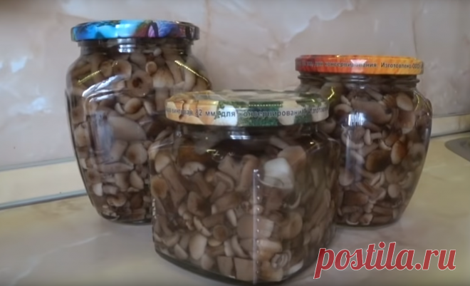 Самый простецкий рецепт маринованных опят, который я встречала Так можно закатывать и другие виды грибов | Огород на 6 сотках | Яндекс Дзен
