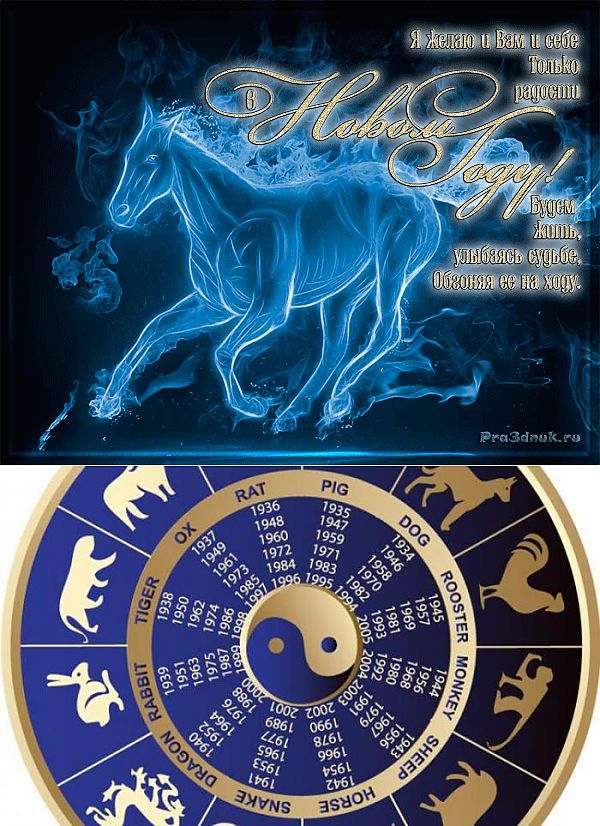 Год лошади девы. Знак Зодиак год голубой лошади. Год синей лошади. Водяная лошадь астрология. Какой следующий год лошади будет синей деревянной.