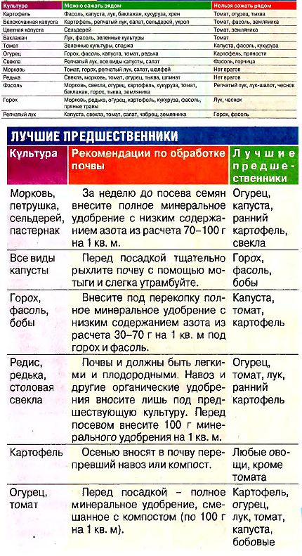 После каких растений можно сажать