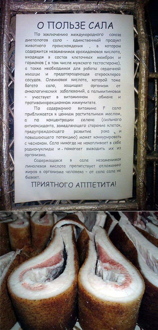 Сало чем полезно для здоровья. Дамское сало рецепт. Сколько есть сала. Чем полезно сало. Витамины в сале свином.