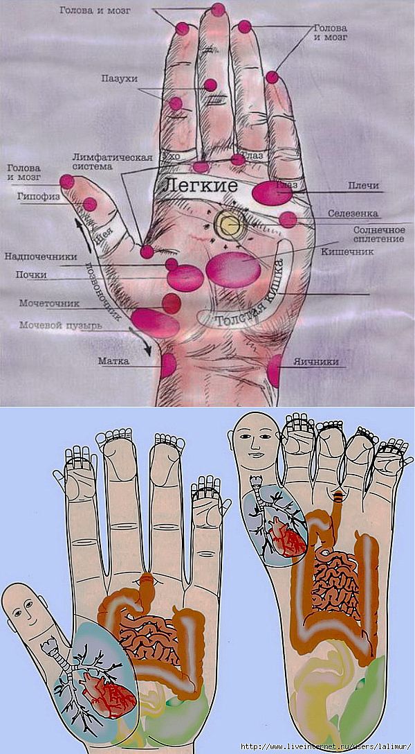 Лимфоузлы кисти. Китайский массаж пальцев на руках. Массаж рук и кистей. Лимфоузлы на ладони расположение.